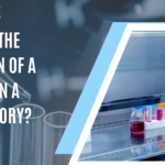 What is the Function of a Pipette in a Laboratory?